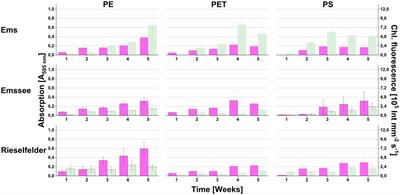 A domesticated photoautotrophic microbial community as a biofilm model system for analyzing the influence of plastic surfaces on invertebrate grazers in limnic environments